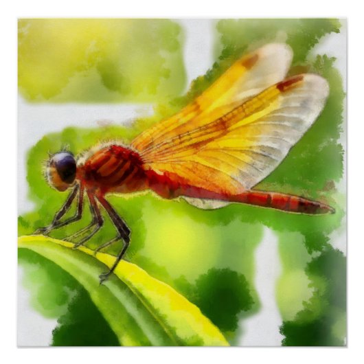 Aquarelle, Libellule ポスター (正面)