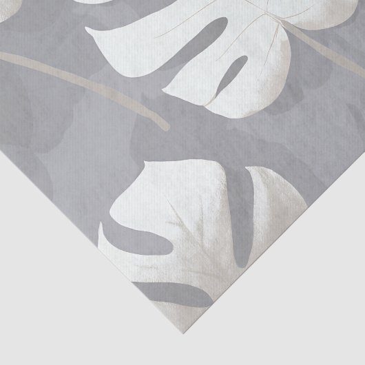 Aquarelle Monstera 薄葉紙 (詳細)