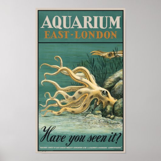 Aquarium, East London – タコ ポスター (正面)