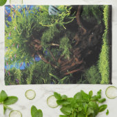 Aquarium Layout of Freshwater Angelfishes キッチンタオル (折り畳み)