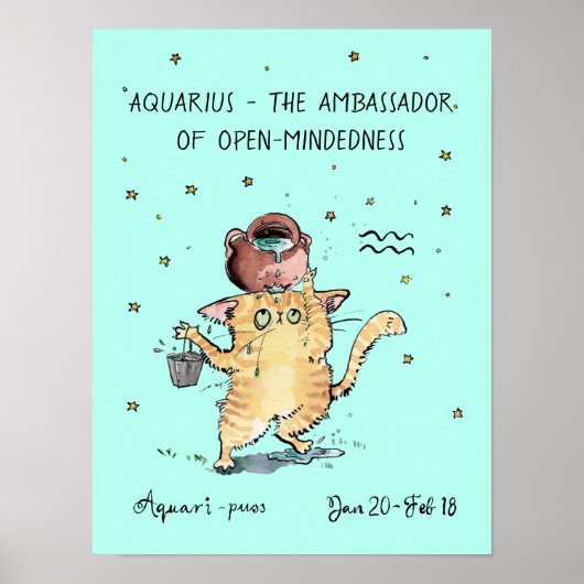 Aquariusポスおもしろいター〔占星術の〕十二宮図キャットスター看板ポスター ポスター (正面)