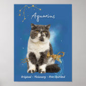 Aquarius Cat Art Print, Zodiac Cat Poster ポスター (正面)