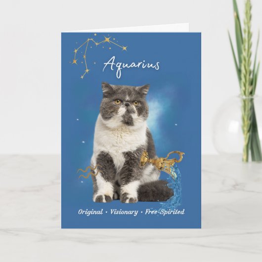 Aquarius Cat Birthday Card カード (正面)