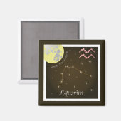 Aquarius January 21 to February 18 Magnet マグネット (正面/裏面)