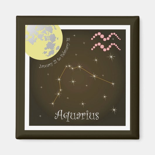 Aquarius January 21 to February 18 Magnet マグネット (正面)
