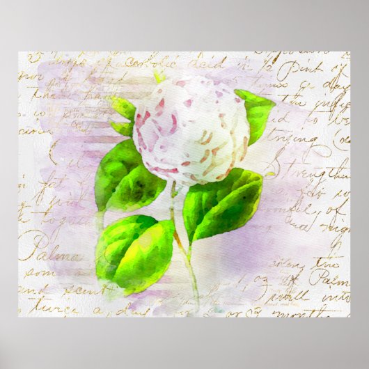 ** AR23フローラ旧手書きヴィンテージ ビクトリアン ポスター (正面)