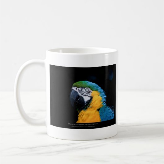 Araのararauna -青および黄色いコンゴウインコ01 コーヒーマグカップ (左)