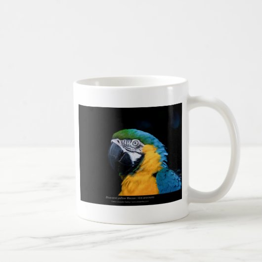 Araのararauna -青および黄色いコンゴウインコ01 コーヒーマグカップ (右)