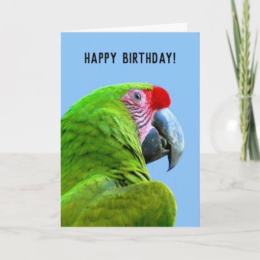 Ara Militaris Green Parrot カード (正面)