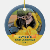 Ara Parrot Pet 1stクリスマスリボン写真 セラミックオーナメント (裏面)