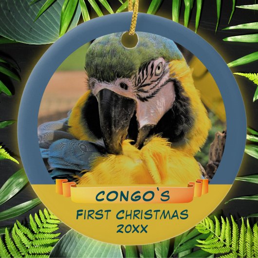 Ara Parrot Pet 1stクリスマスリボン写真 セラミックオーナメント