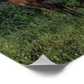 Arab Mare & Foal 2 ポスター (角)