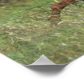 Arab Stallion Running in the Grass ポスター (角)