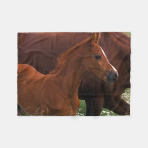 Arabian Horse Near Mother フリースブランケット