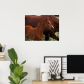 Arabian Horse Near Mother ポスター (ホームオフィス)