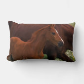 Arabian Horse Near Mother ランバークッション (正面)