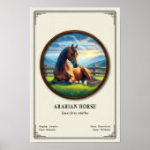 Arabian Horse Zoology Series ポスター (正面)