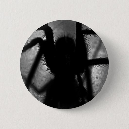 Arachnophobia… 缶バッジ (正面)