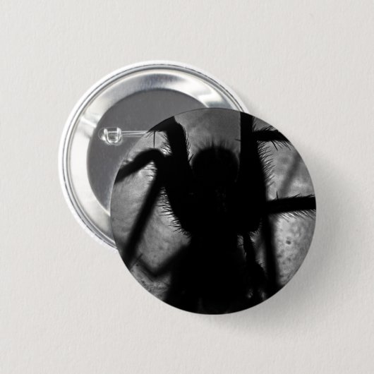 Arachnophobia… 缶バッジ (正面&裏面)