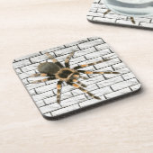 araignée mygale (Brachypelma smithi). コースター (左側)