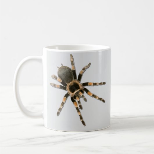 Araignée mygale (Brachypelma smithi). コーヒーマグカップ (左)