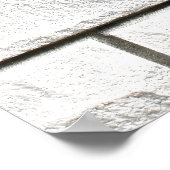 araignée mygale (Brachypelma smithi).  ポスター (角)