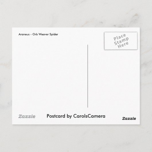 Araneus Orb Weaver Spiderはがき ポストカード (裏面)