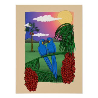 Arara azul - Blue macaw ポスター