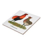 Araucanaの赤の組 タイル (側面)