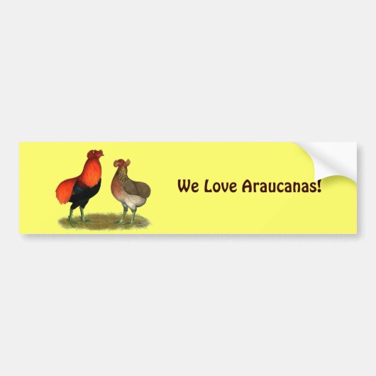 Araucanaの赤の組 バンパーステッカー (正面)