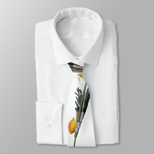 Arba Minim - Lulav、Esrog、Hadas、及びAravah ネクタイ (タイ)