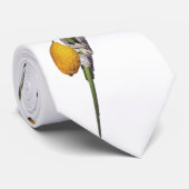 Arba Minim - Lulav、Esrog、Hadas、及びAravah ネクタイ (ロール)