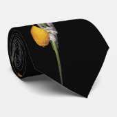 Arba Minim - Lulav、Esrog、Hadas、及びAravah ネクタイ (ロール)