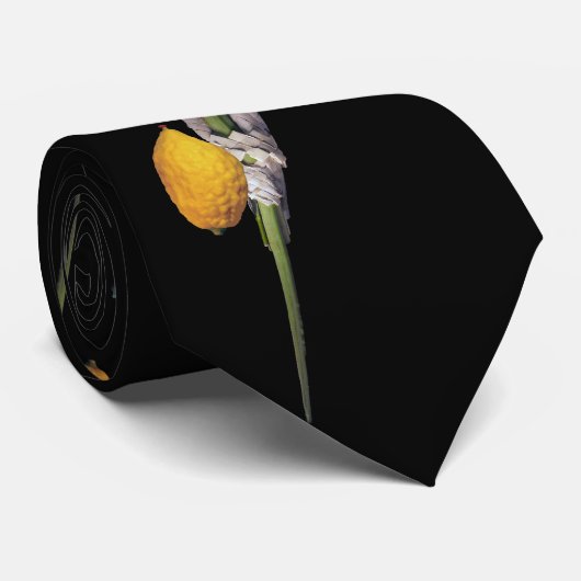 Arba Minim - Lulav、Esrog、Hadas、及びAravah ネクタイ (ロール)