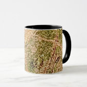 ArborCrosse Initial Mug "Z" マグカップ (正面右)