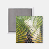 Arbre du voyageur- Guadeloupe マグネット (正面/裏面)