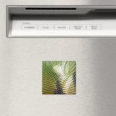 Arbre du voyageur- Guadeloupe マグネット (インサイチュ (食洗機))