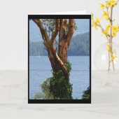 「Arbutus Tree」グリーティングカード カード (黄色い花)