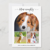 Arch Define Pet いけな Photo Collage Christmas シーズンカード (正面)