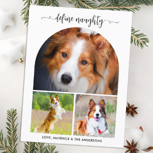 Arch Define Pet いけな Photo Collage Christmas シーズンポストカード