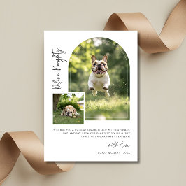 Arch Photo Defineおもしろい犬いけなクリスマス シーズンカード