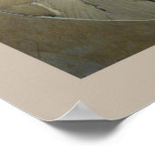 Archaeopteryx ポスター (角)