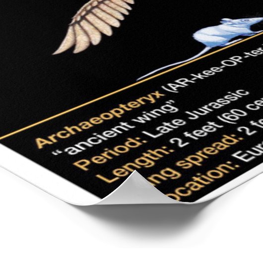 Archaeopteryx - Jurassic Dinosaur Biology ポスター (角)