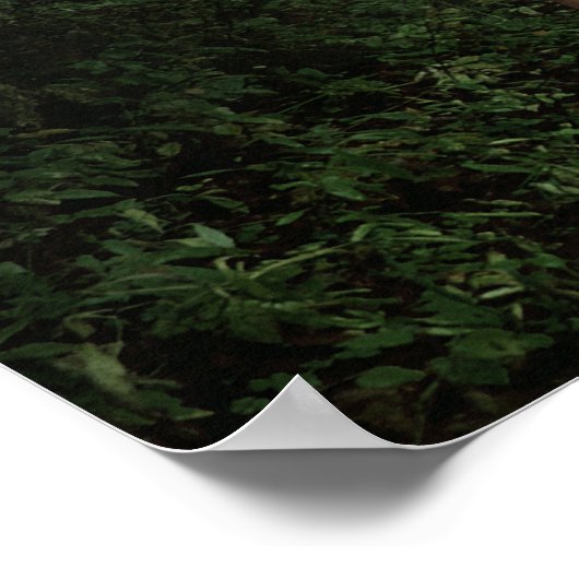 Archer in the Forest Fantasy Art Print ポスター (角)