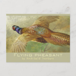 Archibald Thorburn 飛んでいる Pheasant CC0679はがき ポストカード
