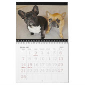 Archie Brindleton 2019times Calendarbook!! カレンダー (2月 2027)