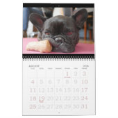 Archie Brindleton 2019times Calendarbook!! カレンダー (1月 2026)