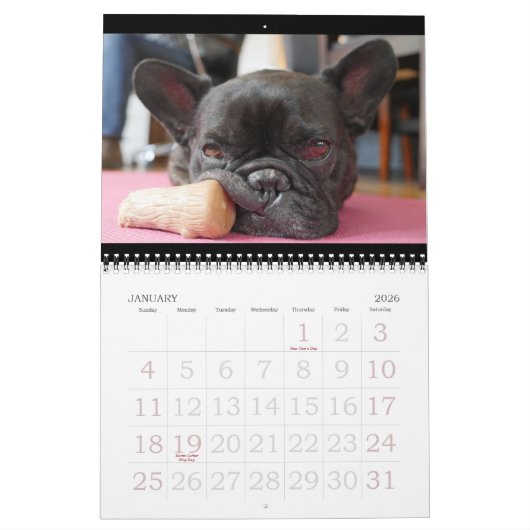 Archie Brindleton 2019times Calendarbook!! カレンダー (1月 2026)