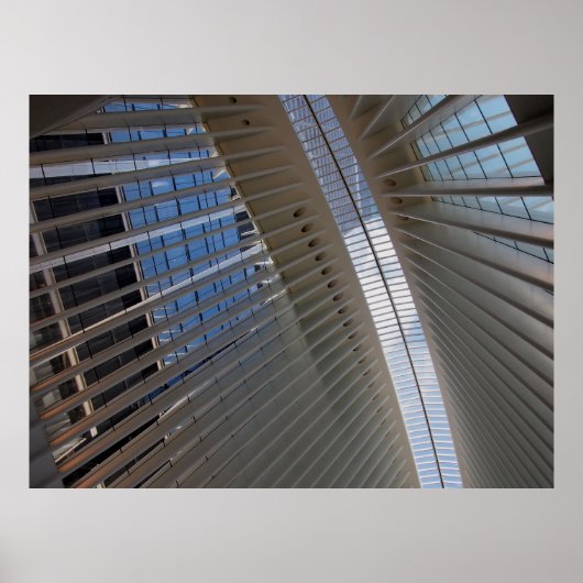 architectural spiderweb ポスター (正面)