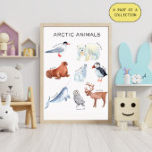 Arctic Animals Educational Poster ポスター